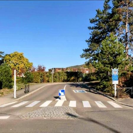 Apartmán L'Appar'T - Centre Historique De Obernai Exteriér fotografie