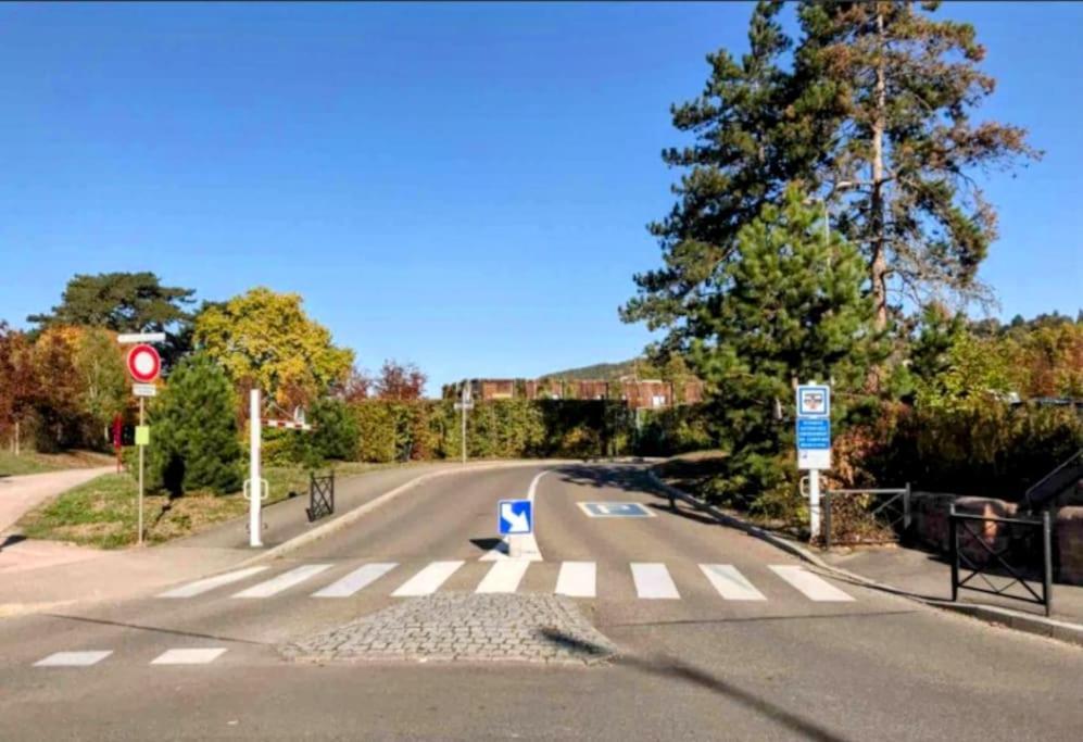 Apartmán L'Appar'T - Centre Historique De Obernai Exteriér fotografie