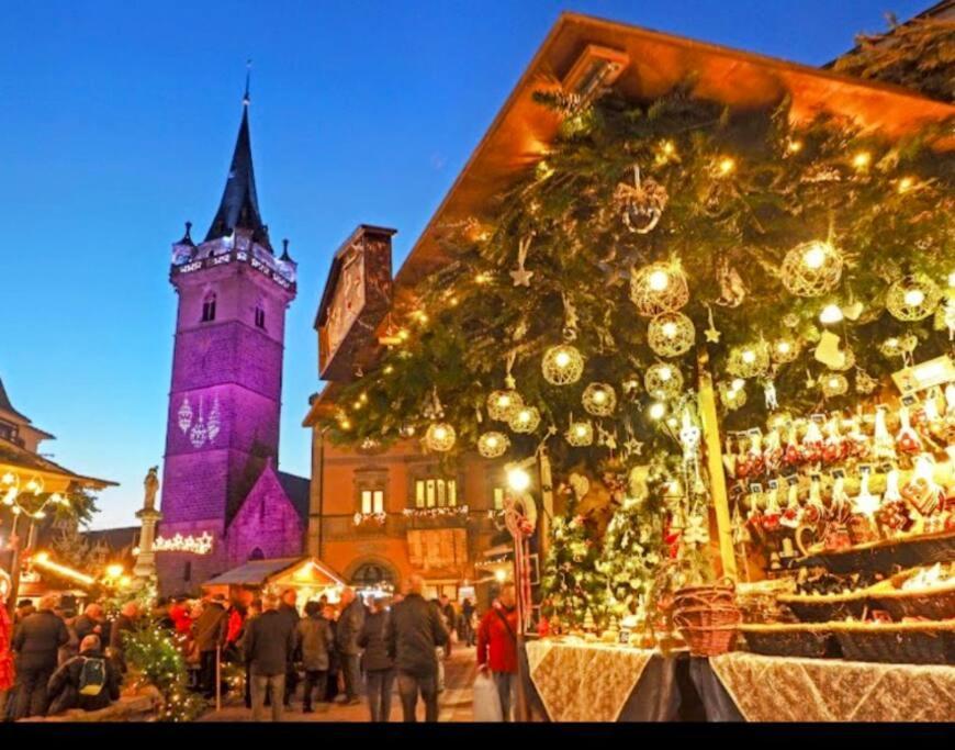 Apartmán L'Appar'T - Centre Historique De Obernai Exteriér fotografie