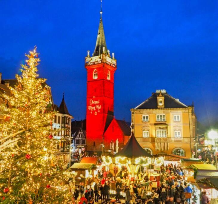Apartmán L'Appar'T - Centre Historique De Obernai Exteriér fotografie