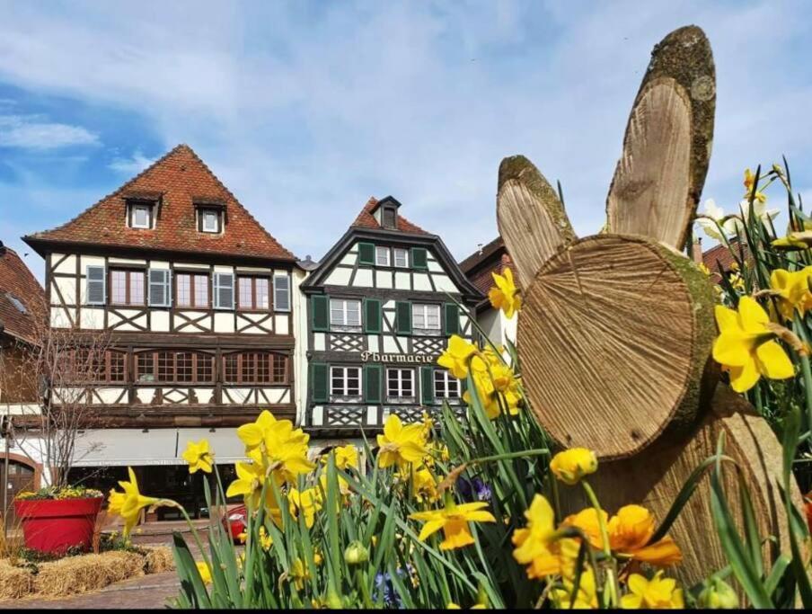 Apartmán L'Appar'T - Centre Historique De Obernai Exteriér fotografie