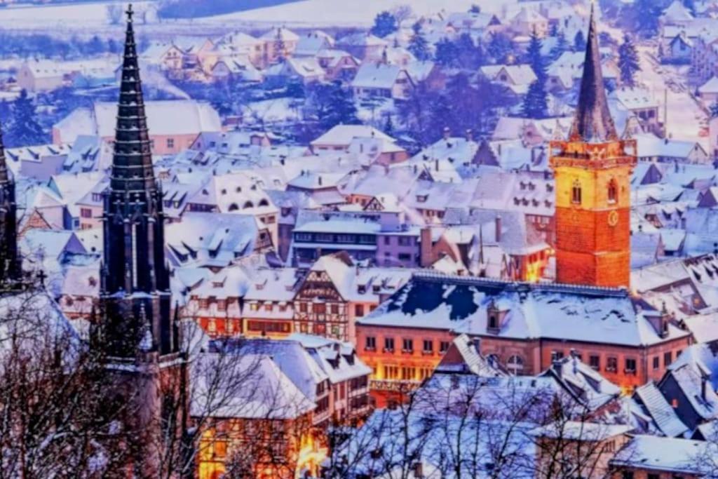 Apartmán L'Appar'T - Centre Historique De Obernai Exteriér fotografie
