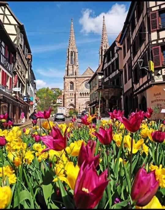 Apartmán L'Appar'T - Centre Historique De Obernai Exteriér fotografie